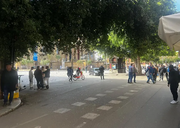 Maqueda Vibes
